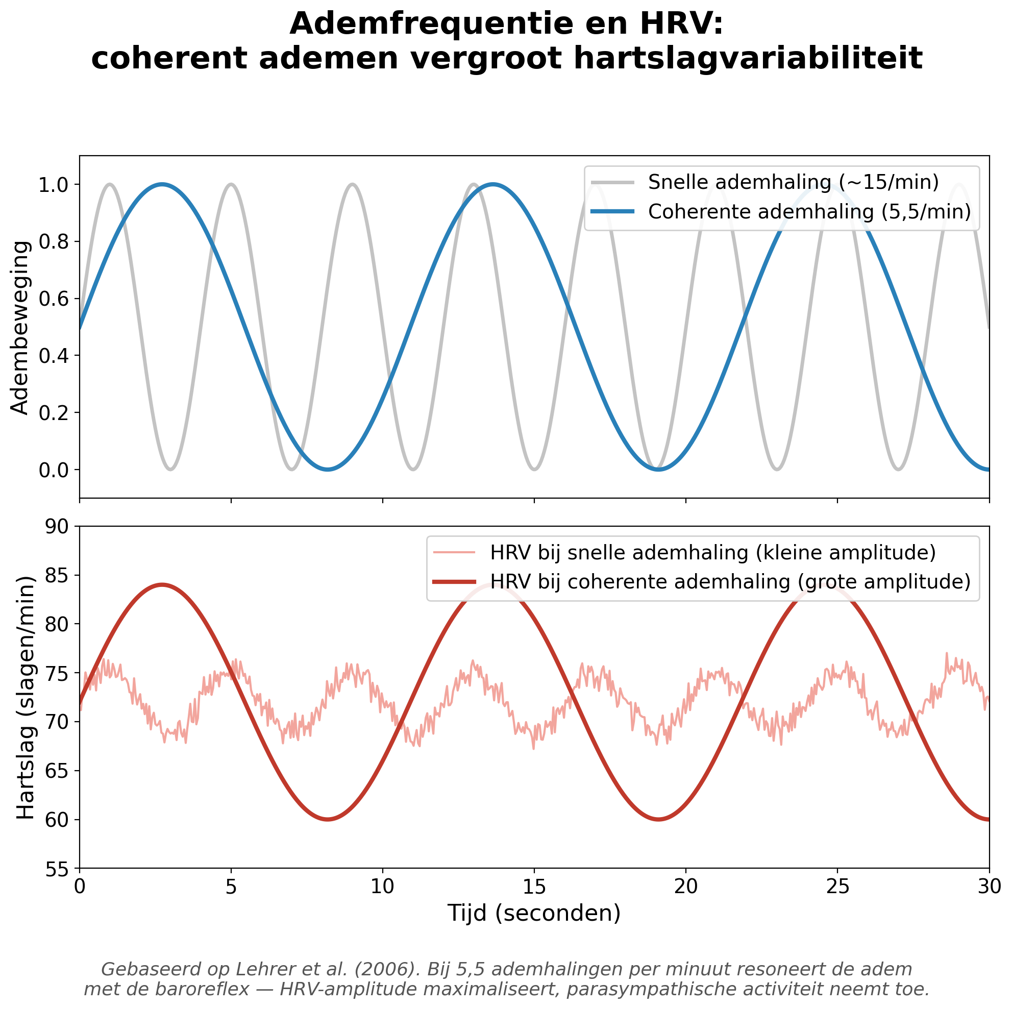 Hartritmevariabiliteit bij coherente ademhaling vs. snelle ademhaling