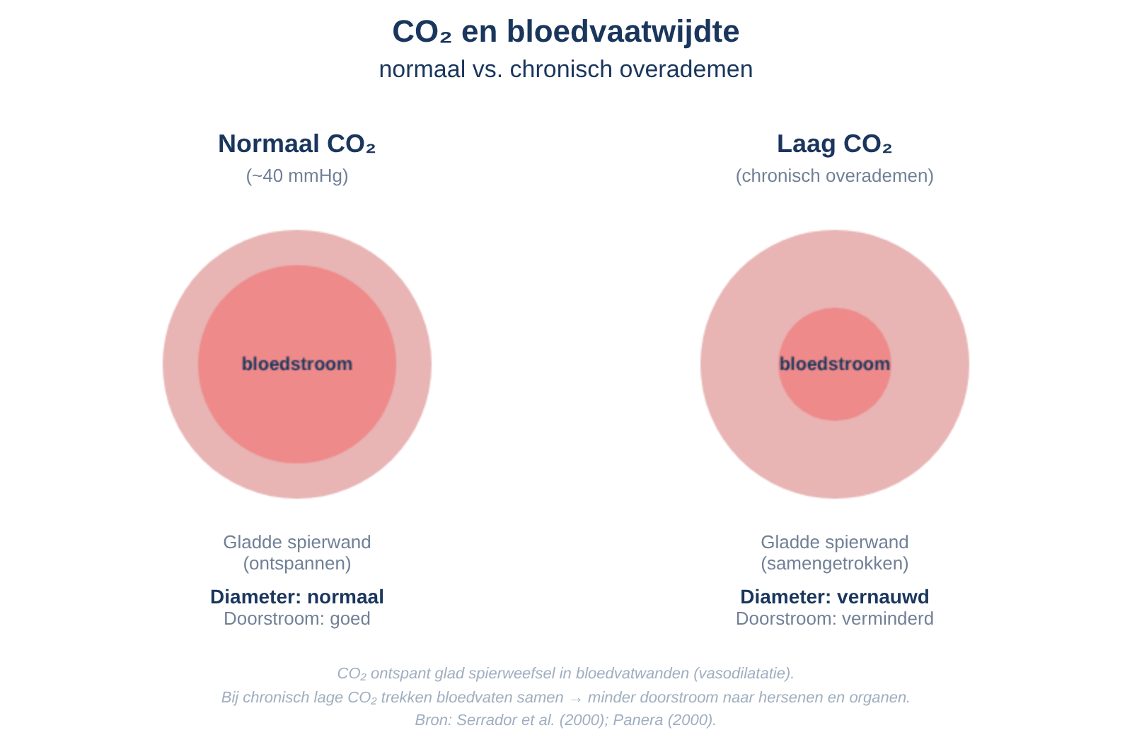 Bloedvatwijdte bij normaal CO₂ vs. laag CO₂